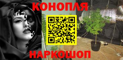 дмт Можга