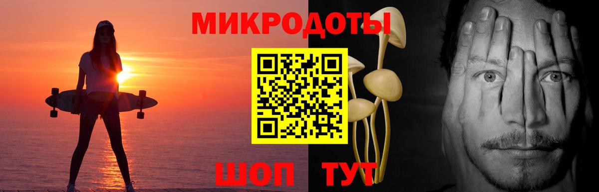 Псилоцибиновые грибы Cubensis Унеча